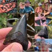 Sharktooth