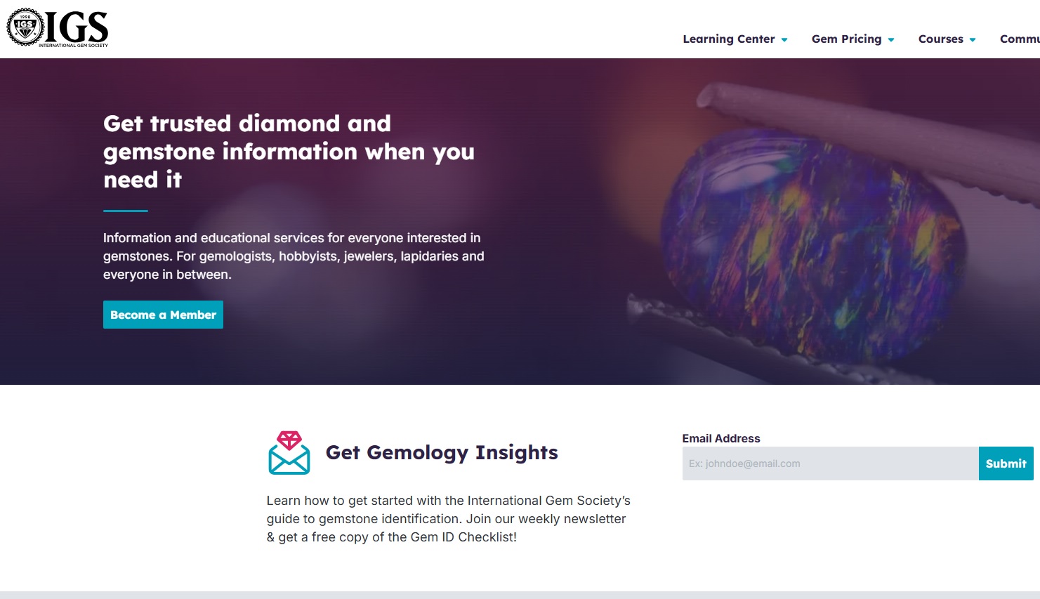 IGS Webpage